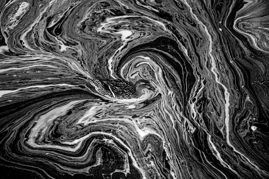 Natural Abstract